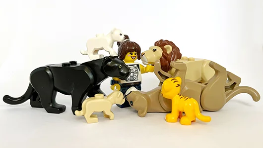 LEGO Büyük Kedi Figürleri